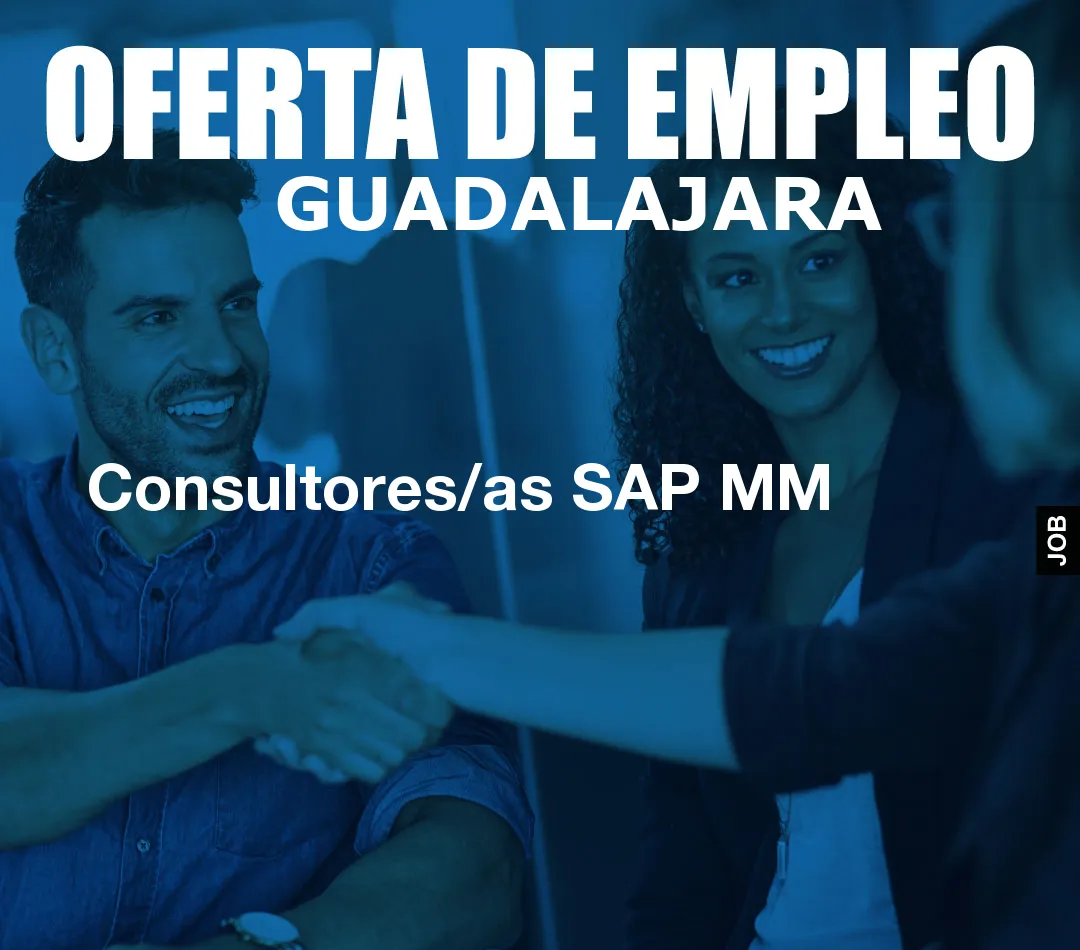 Consultores/as SAP MM