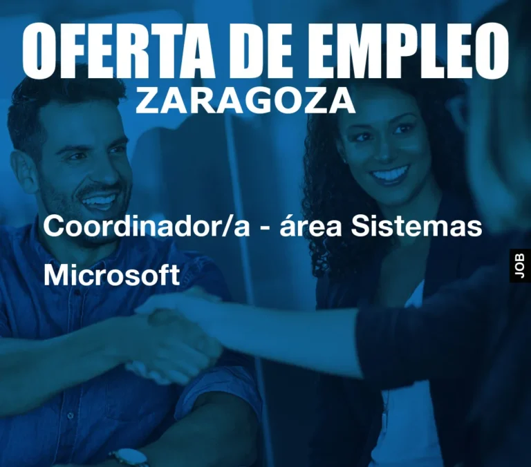 Coordinador/a – área Sistemas Microsoft