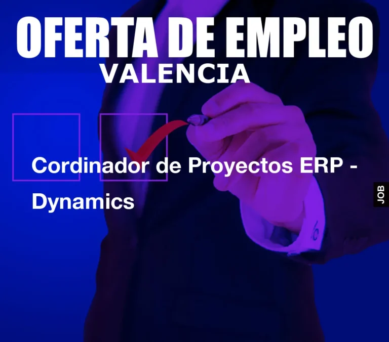Cordinador de Proyectos ERP – Dynamics