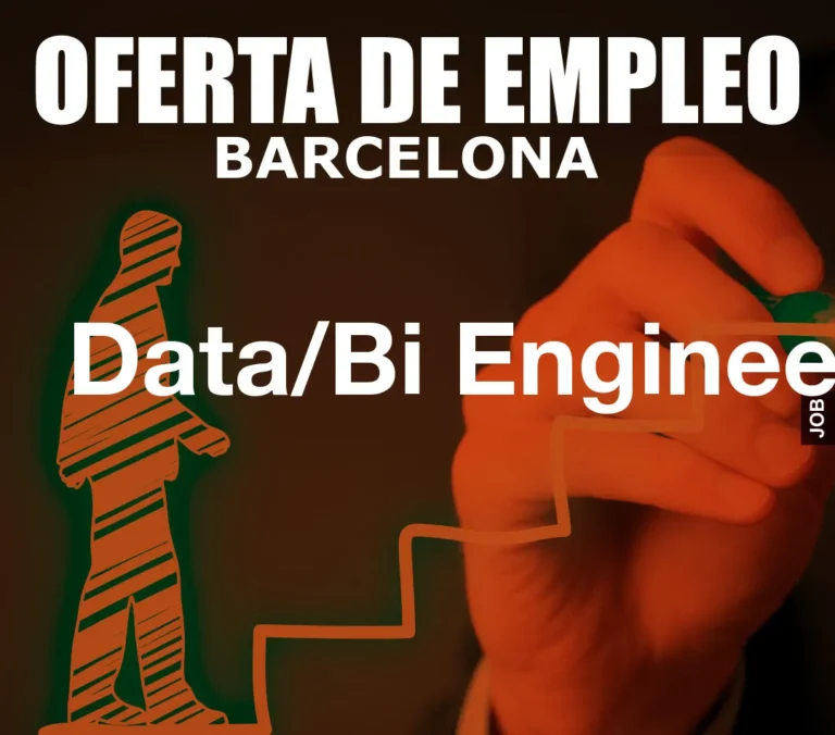 Data/Bi Engineer