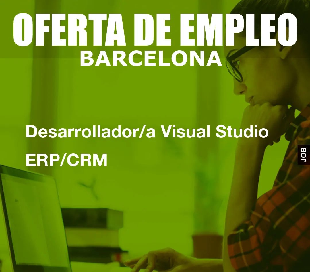 Desarrollador/a Visual Studio ERP/CRM