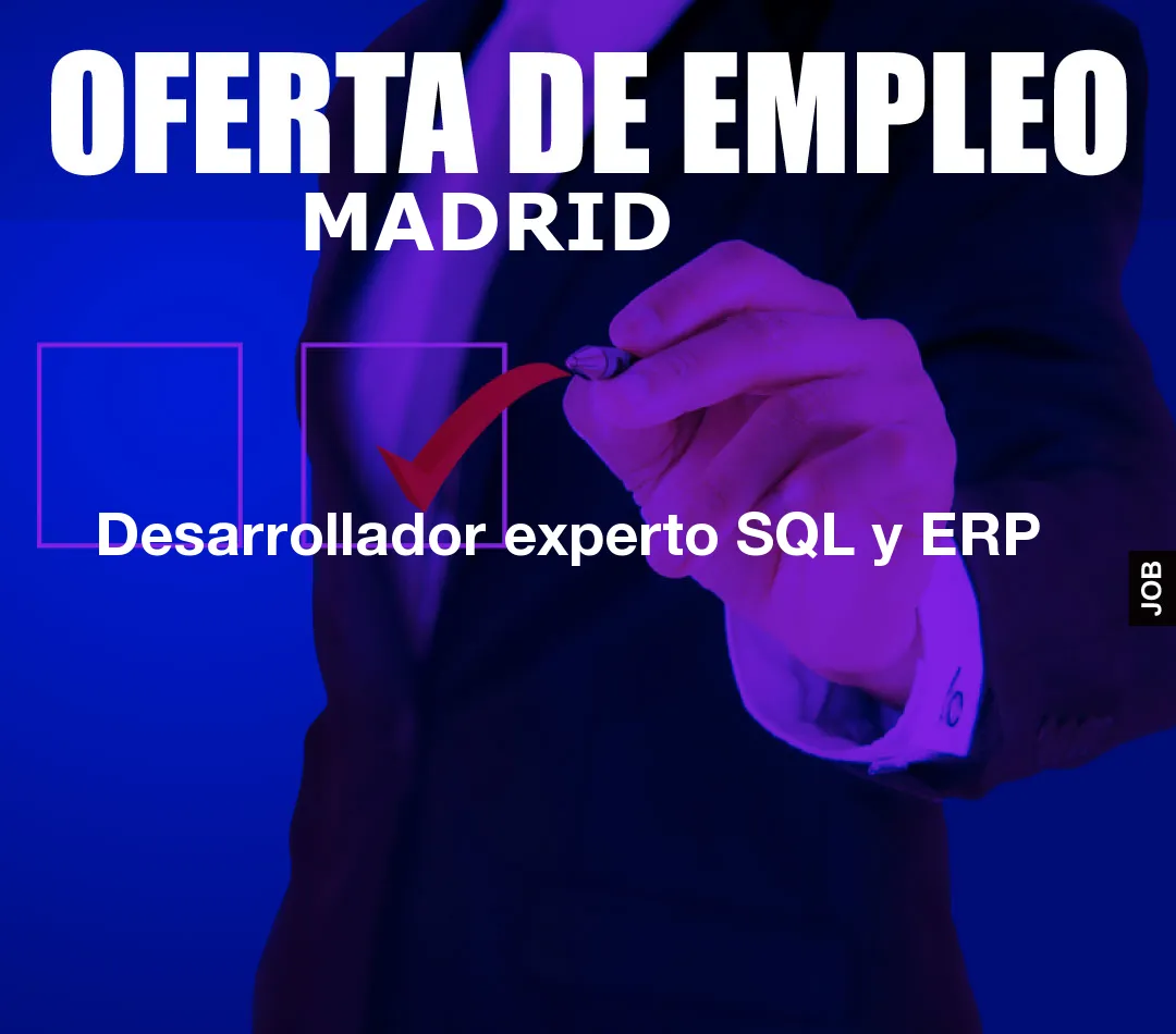 Desarrollador experto SQL y ERP