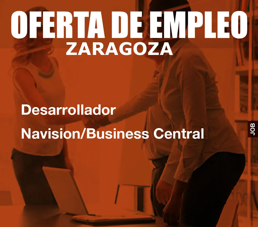 Desarrollador Navision/Business Central