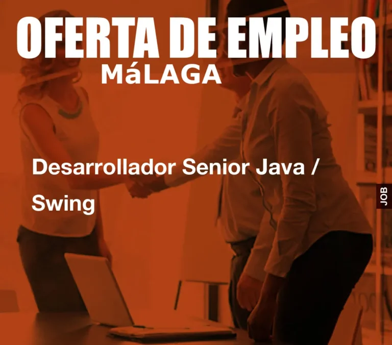 Desarrollador Senior Java / Swing