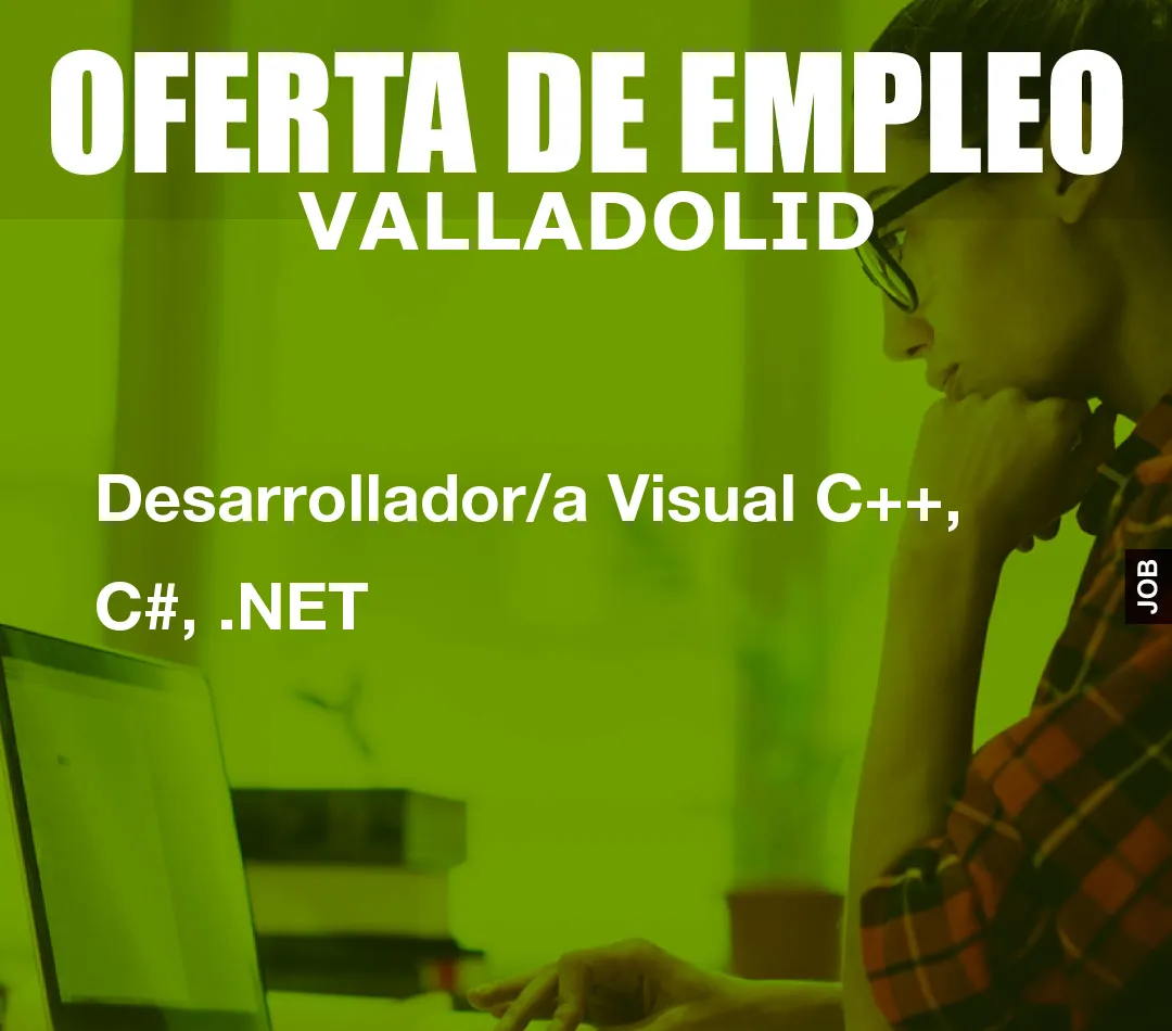 Desarrollador/a Visual C++, C#, .NET