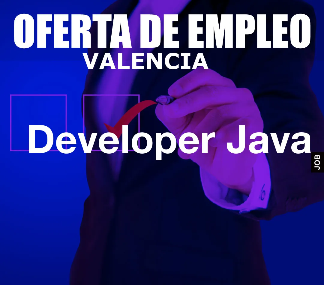 Developer Java