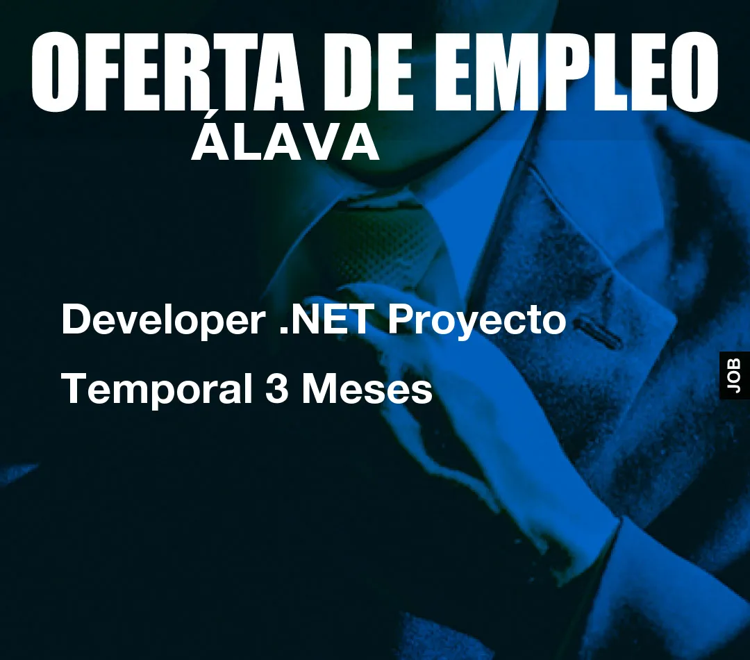 Developer .NET Proyecto Temporal 3 Meses