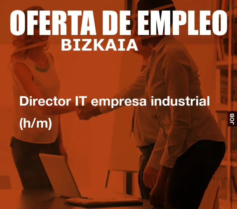 Director IT empresa industrial (h/m)