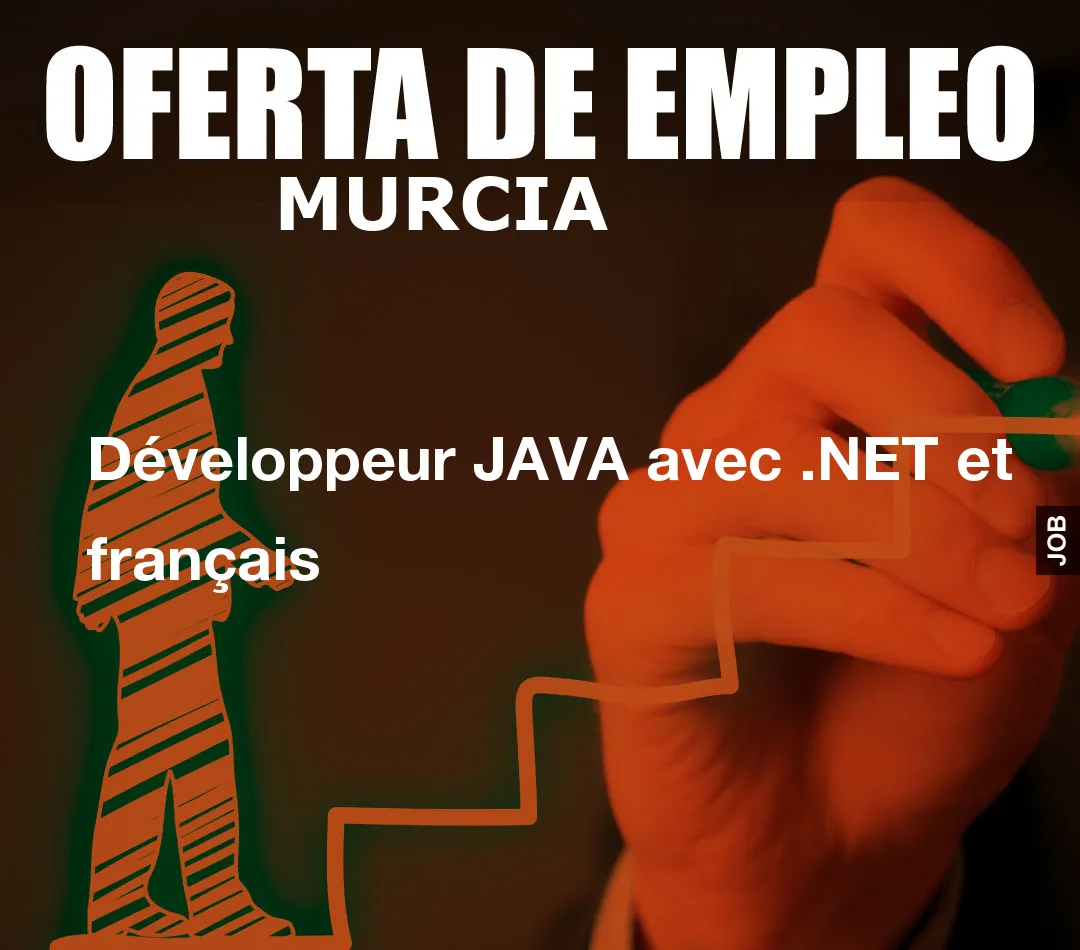 Développeur JAVA avec .NET et français