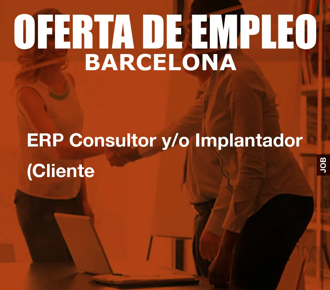 ERP Consultor y/o Implantador (Cliente