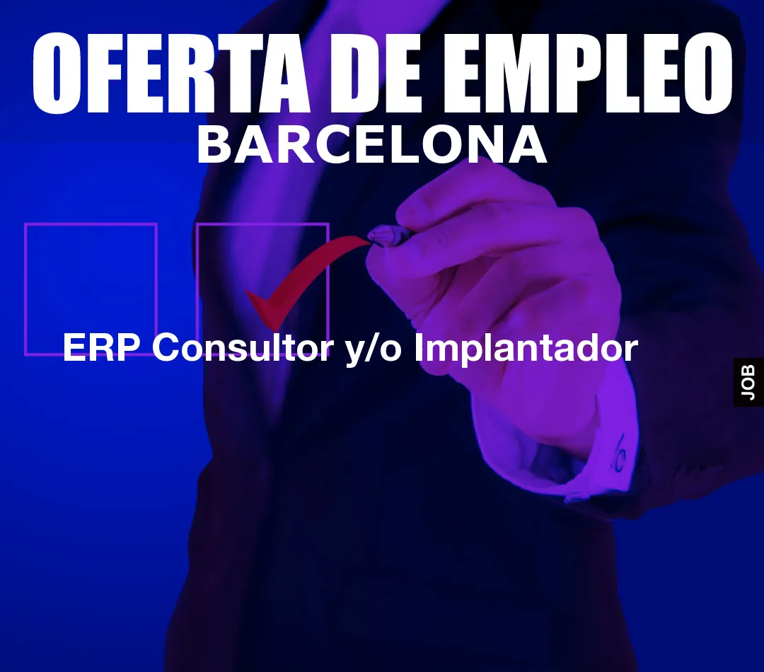 ERP Consultor y/o Implantador