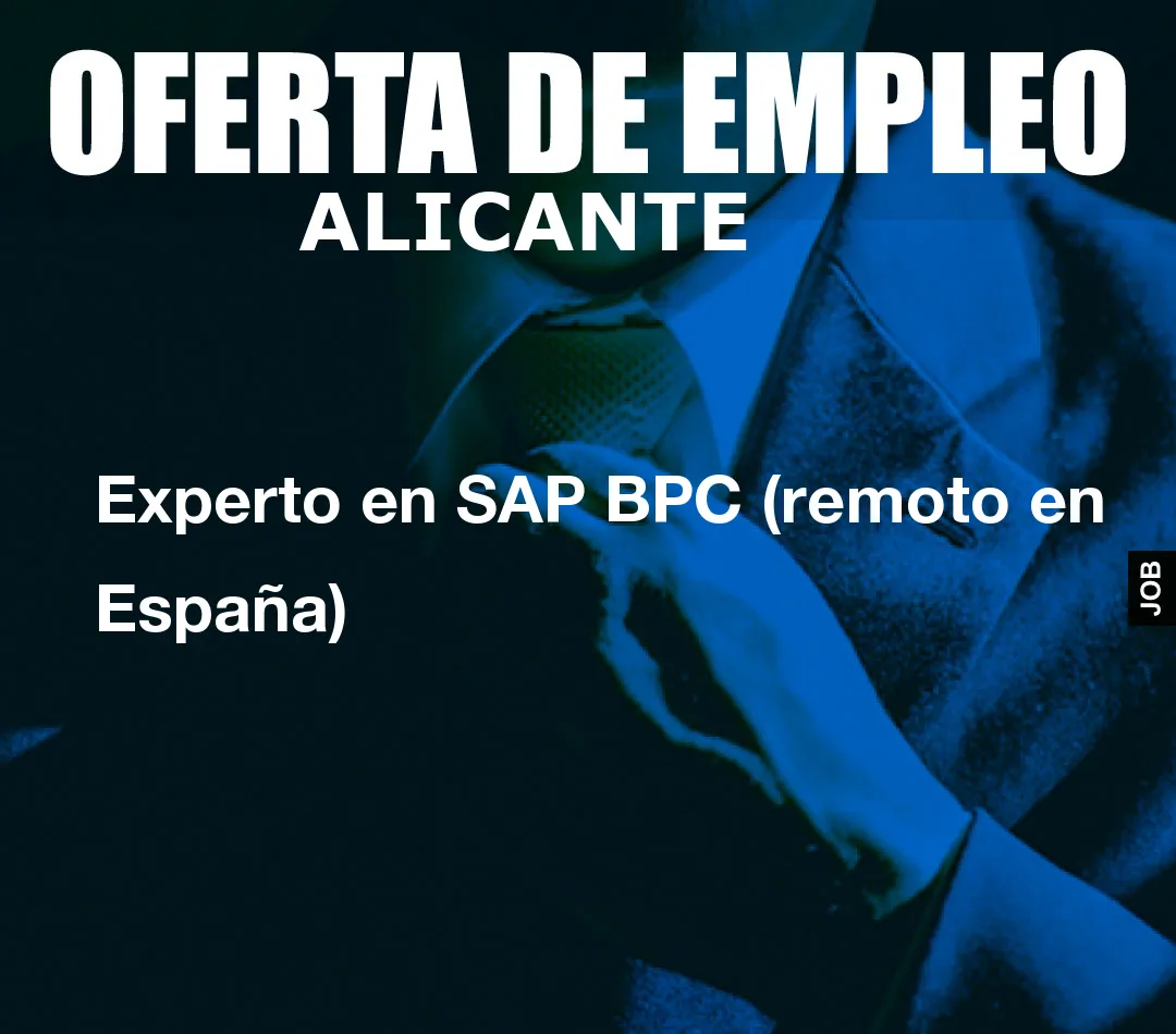 Experto en SAP BPC (remoto en España)