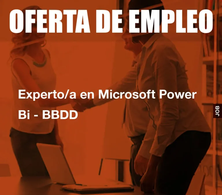 Experto/a en Microsoft Power Bi – BBDD