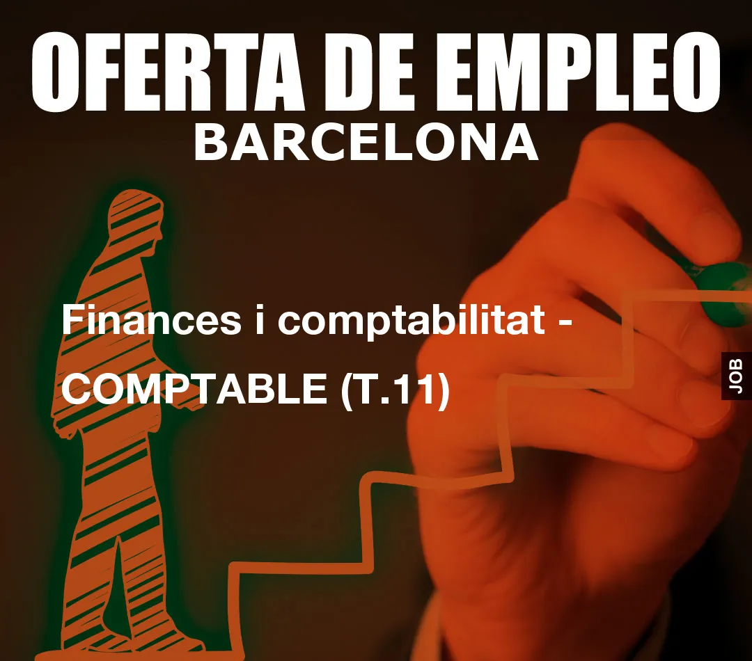 Finances i comptabilitat - COMPTABLE (T.11)