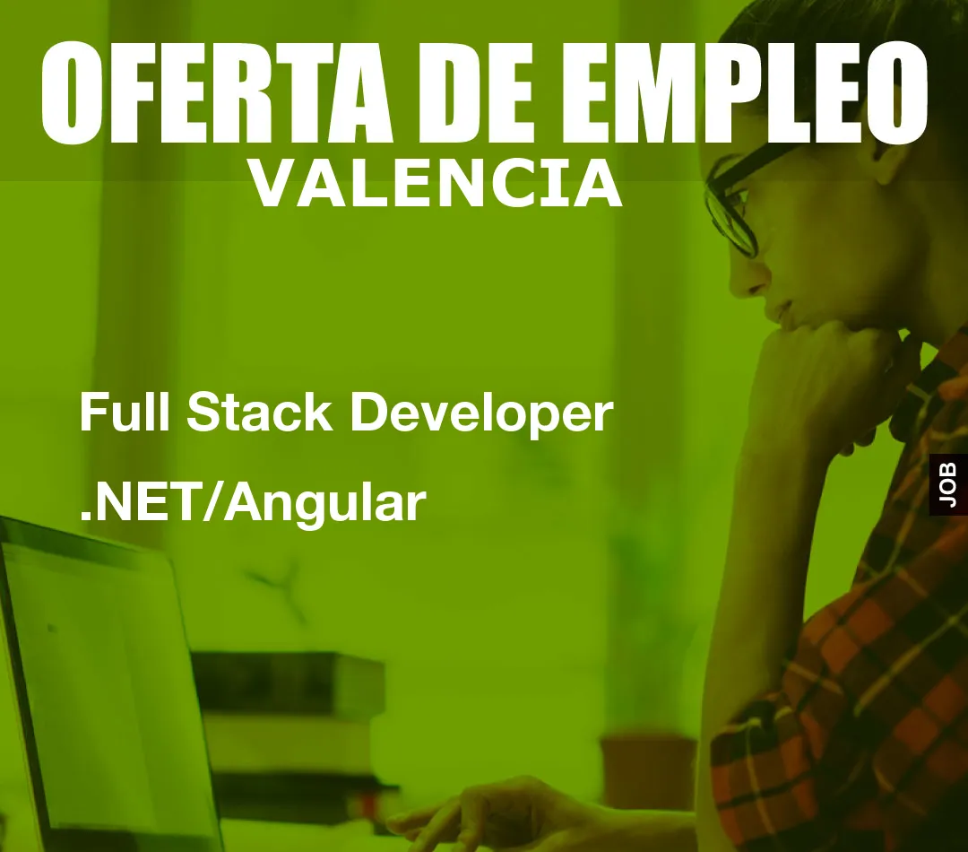 Full Stack Developer .NET/Angular