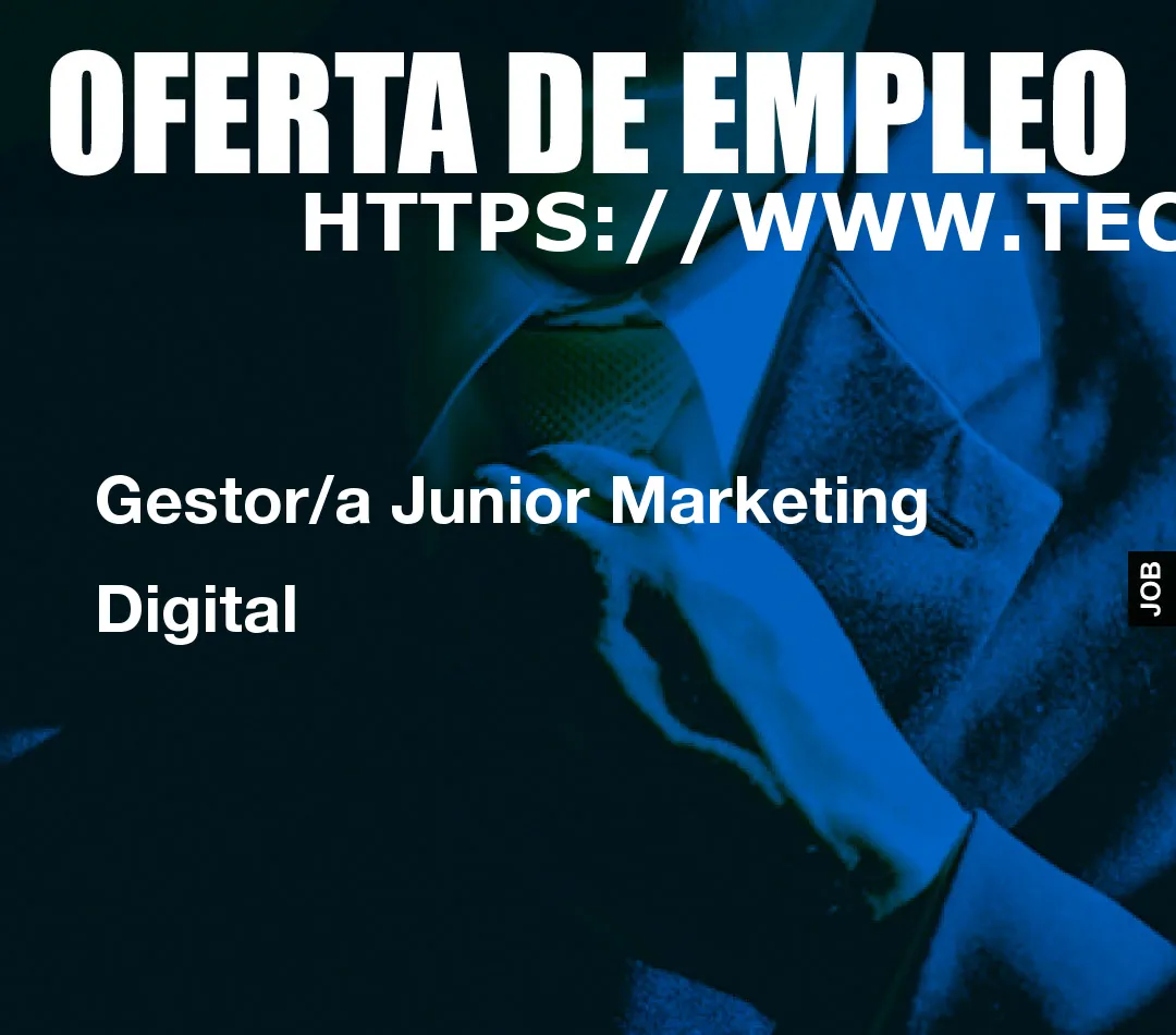 Gestor/a Junior Marketing Digital
