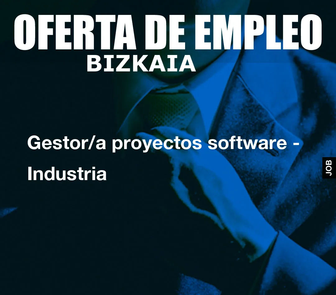 Gestor/a proyectos software - Industria