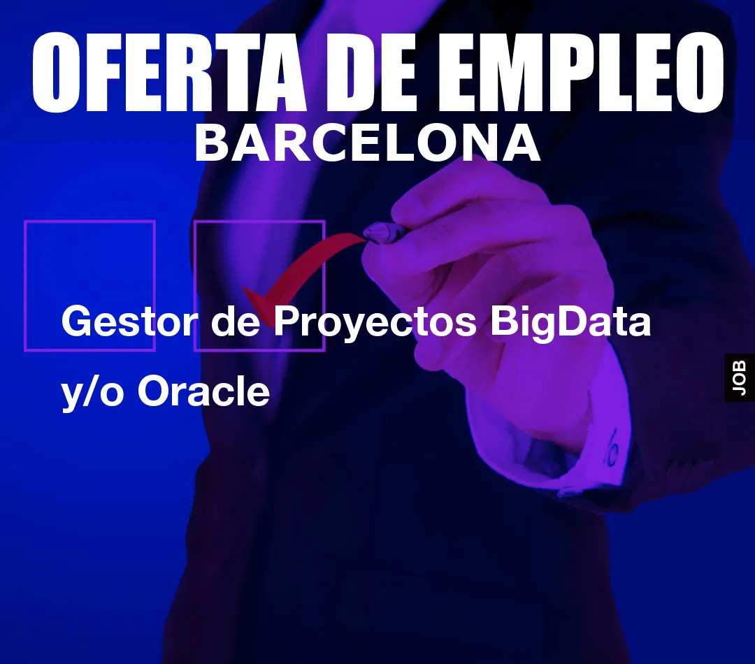 Gestor de Proyectos BigData y/o Oracle