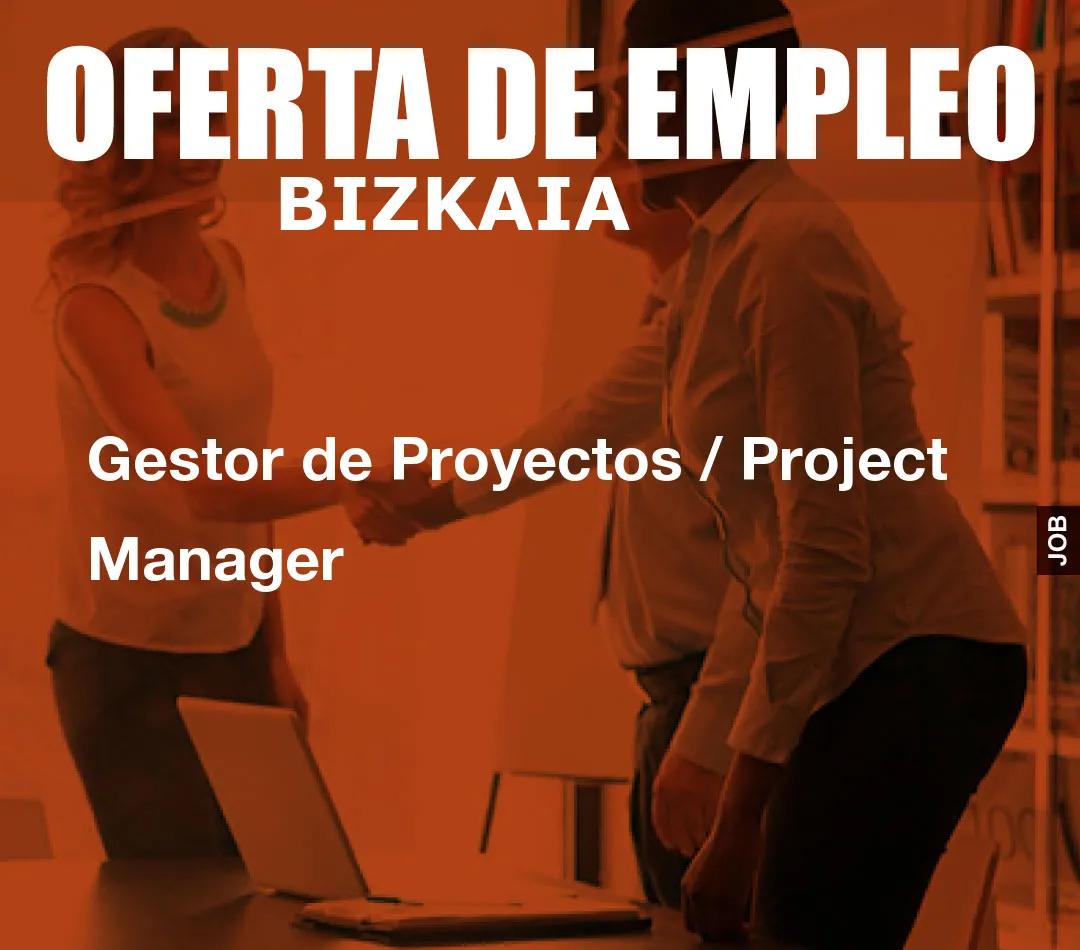 Gestor de Proyectos / Project Manager