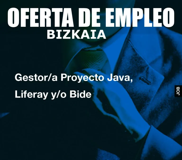 Gestor/a Proyecto Java, Liferay y/o Bide
