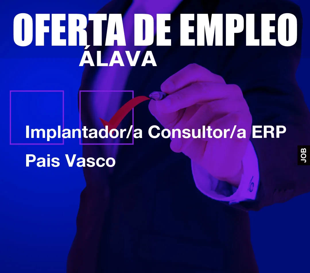 Implantador/a Consultor/a ERP Pais Vasco
