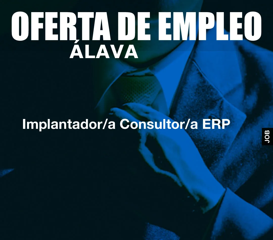 Implantador/a Consultor/a ERP