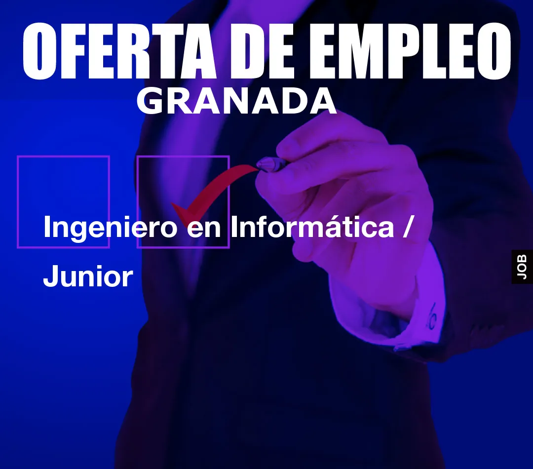 Ingeniero en Informática / Junior