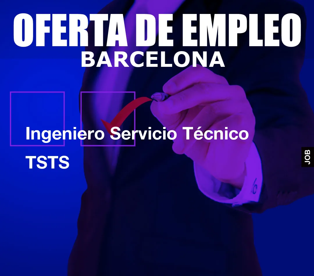 Ingeniero Servicio Técnico TSTS