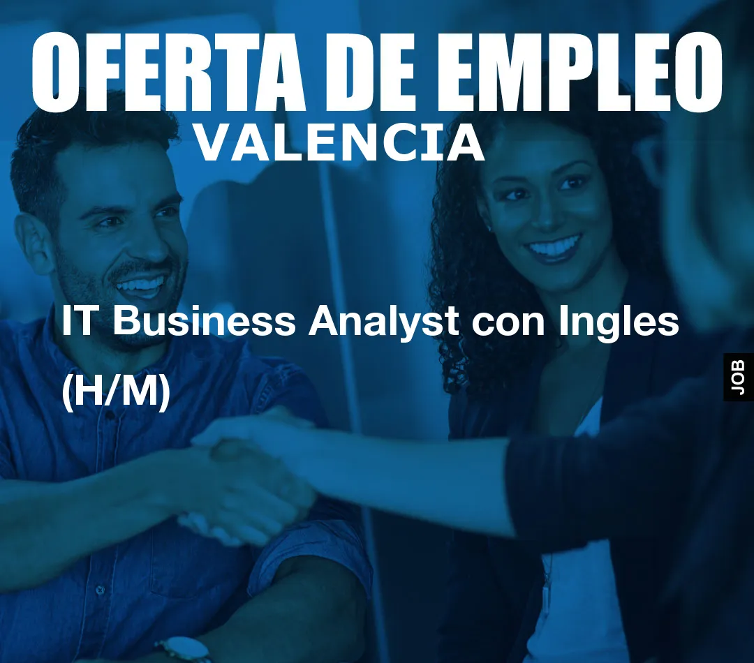IT Business Analyst con Ingles (H/M)