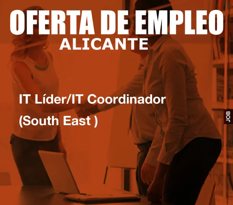 IT Líder/IT Coordinador  (South East )
