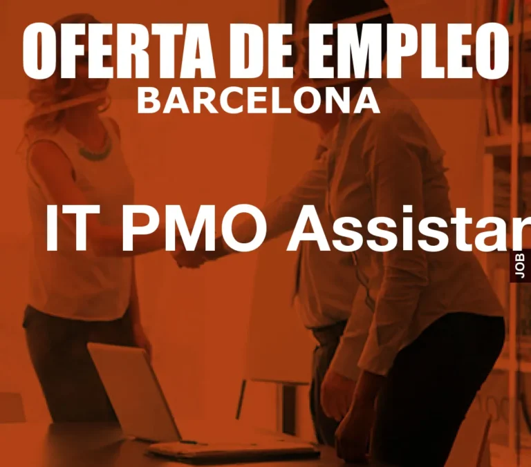 IT PMO Assistant