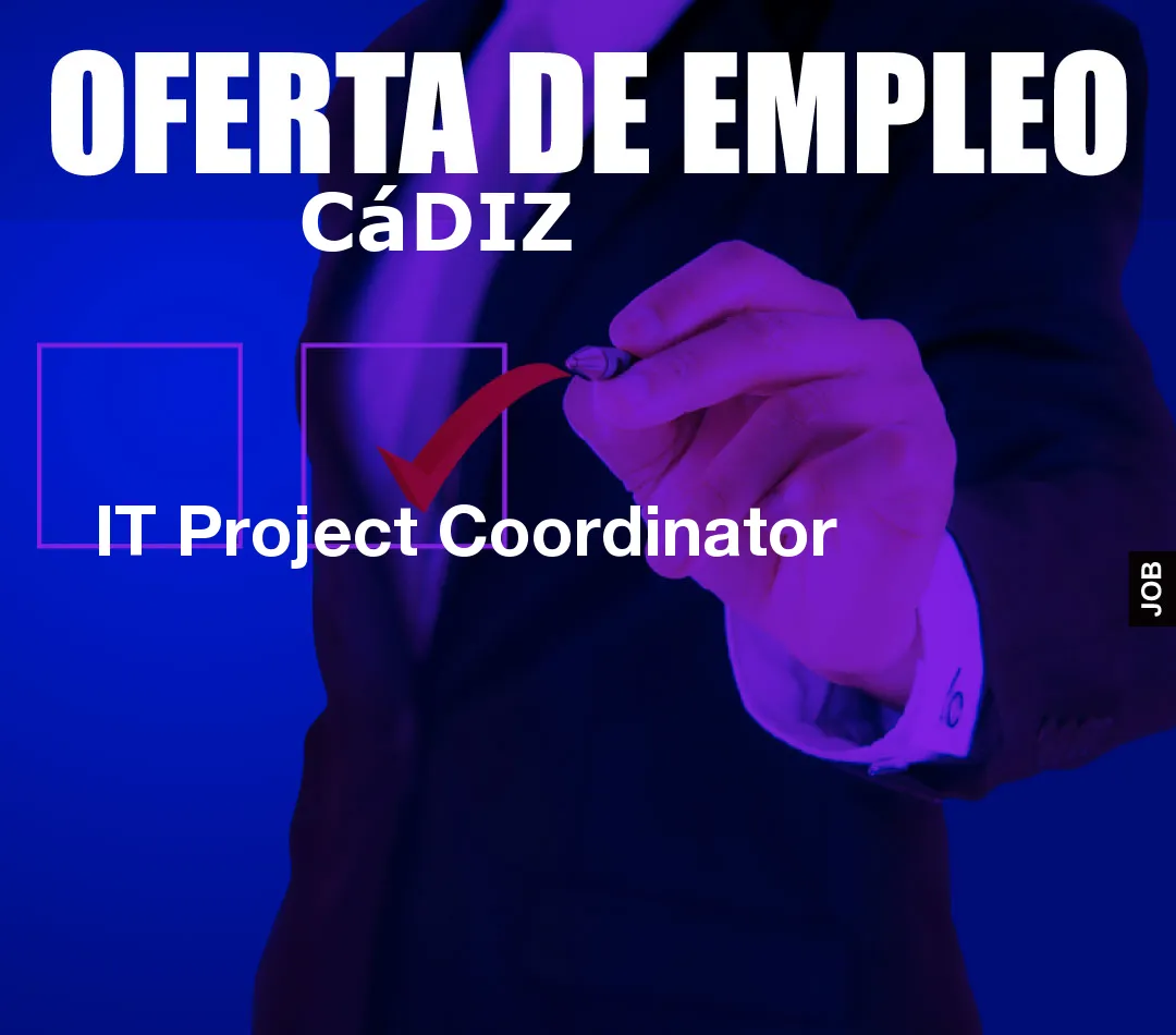 IT Project Coordinator