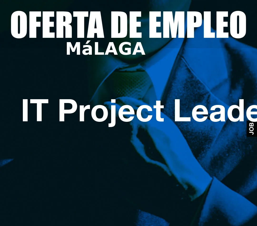 IT Project Leader