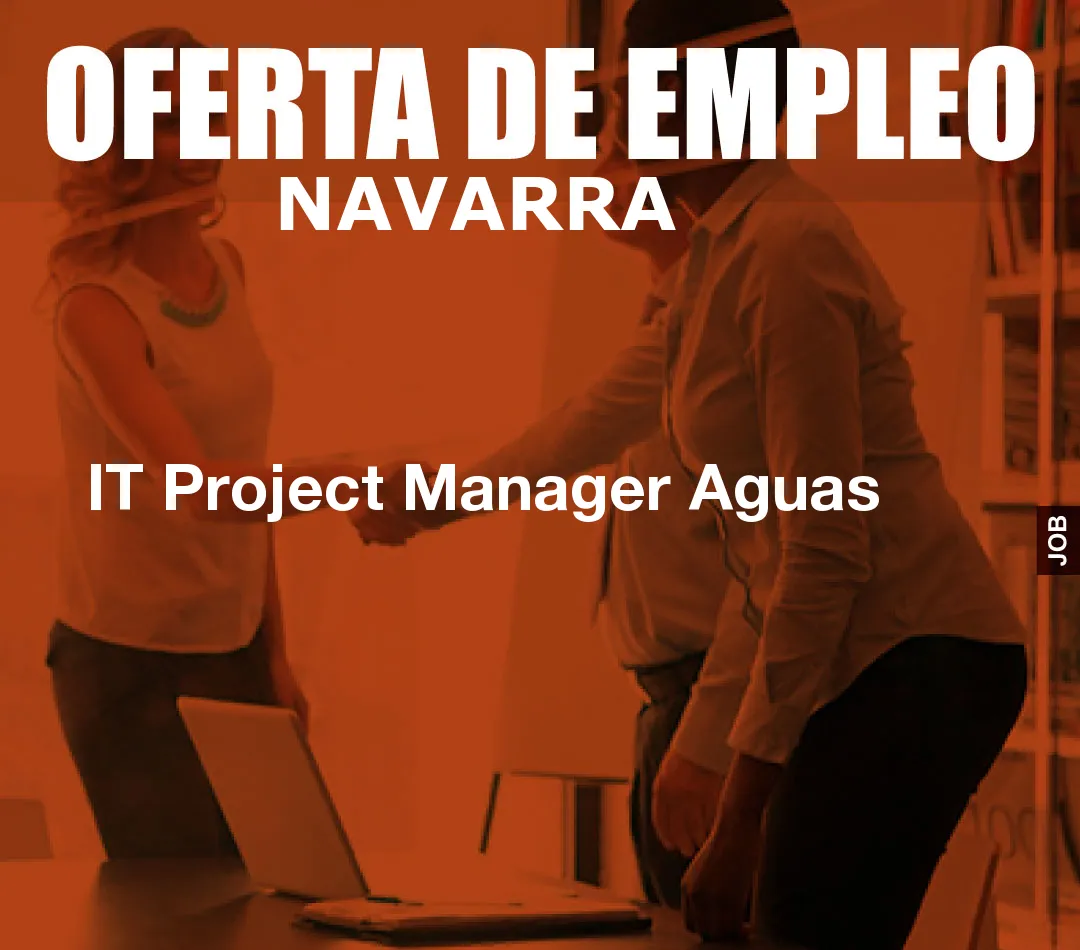 IT Project Manager Aguas