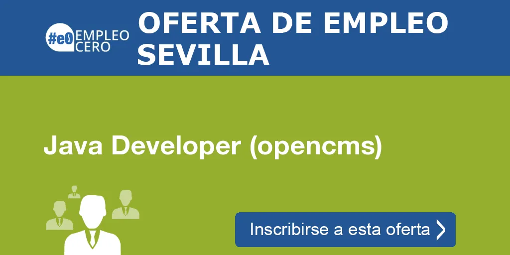 Java Developer (opencms)