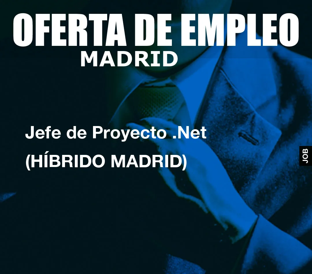 Jefe de Proyecto .Net (HÍBRIDO MADRID)