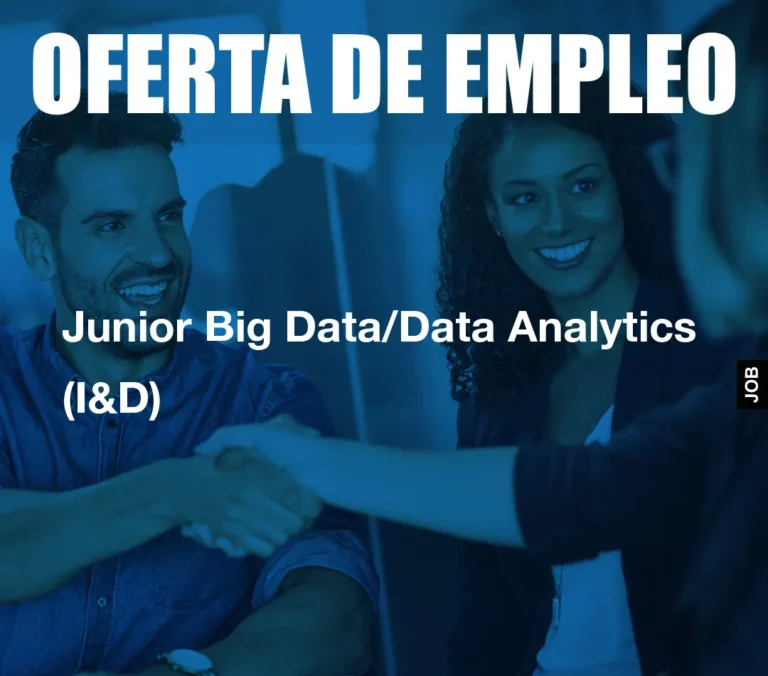 Junior Big Data/Data Analytics (I&D)