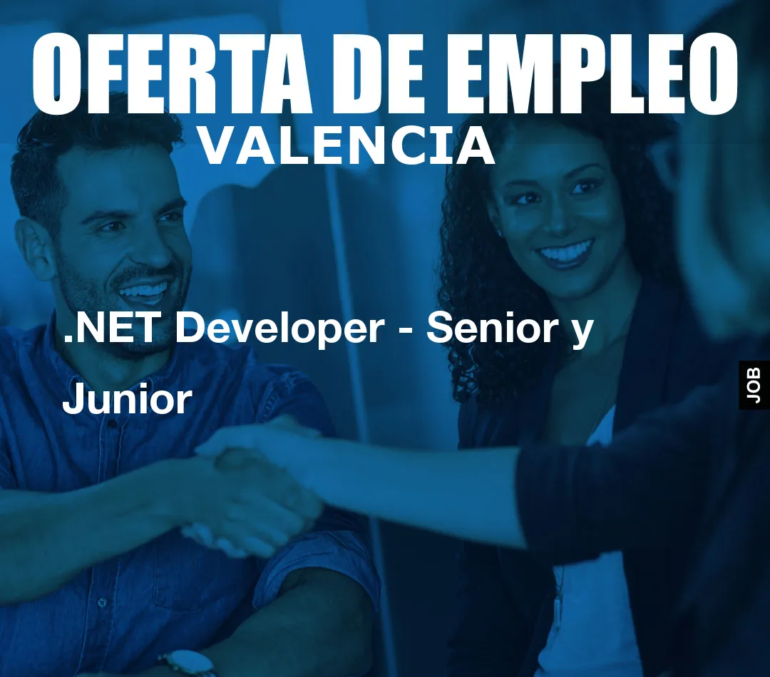 .NET Developer – Senior y Junior