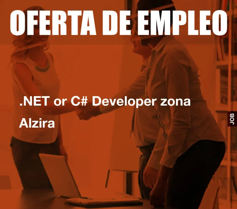 .NET or C# Developer zona Alzira