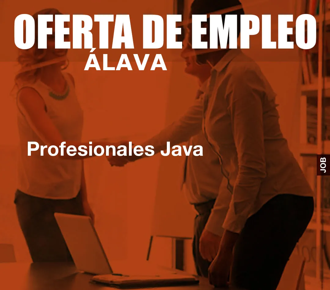 Profesionales Java