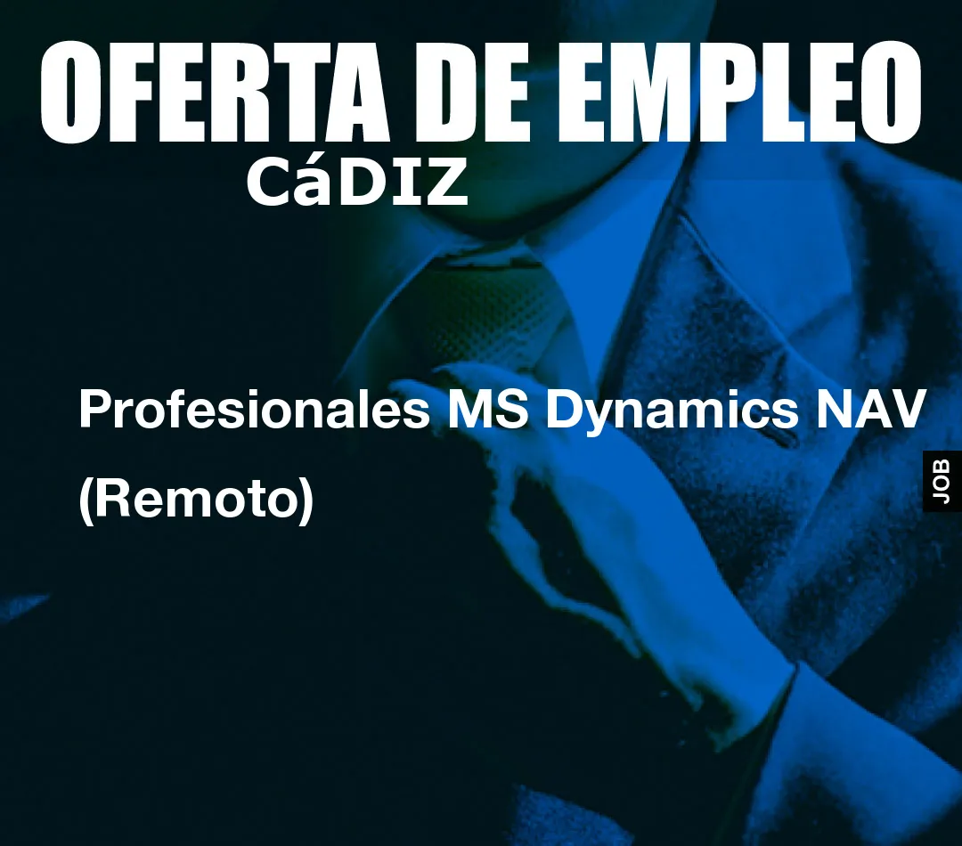 Profesionales MS Dynamics NAV (Remoto)