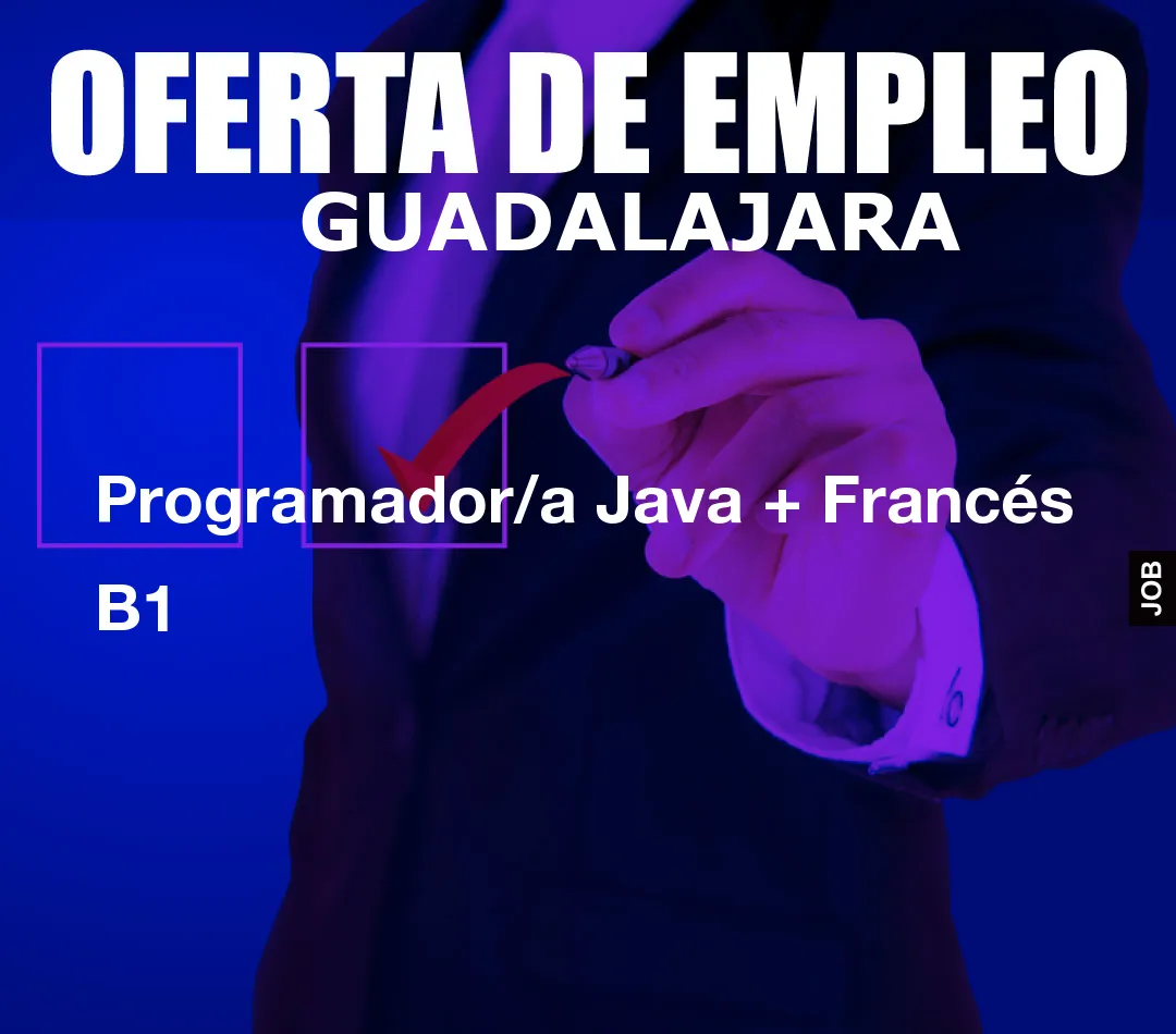 Programador/a Java + Francés B1