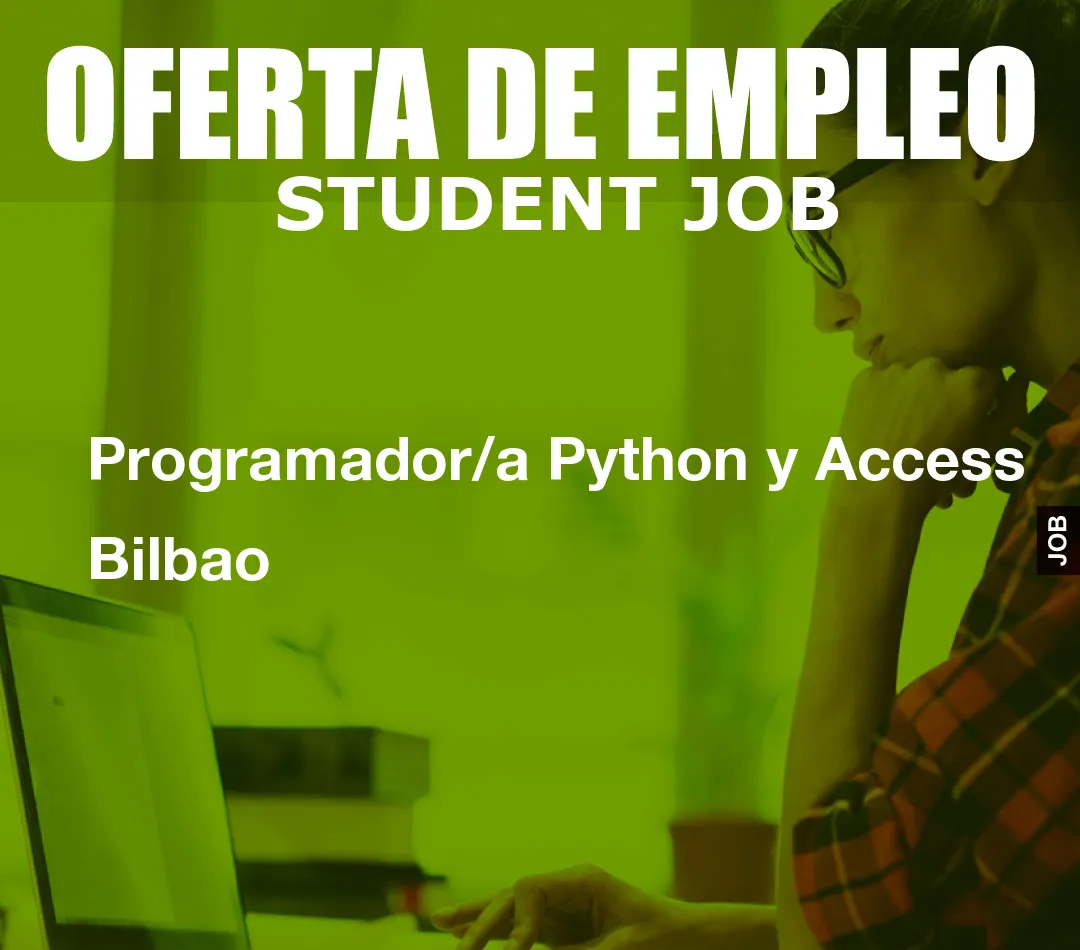 Programador/a Python y Access Bilbao