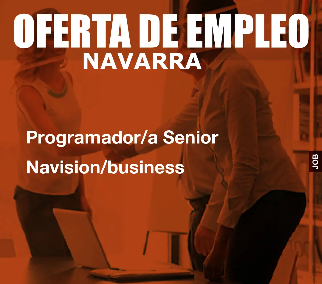 Programador/a Senior Navision/business
