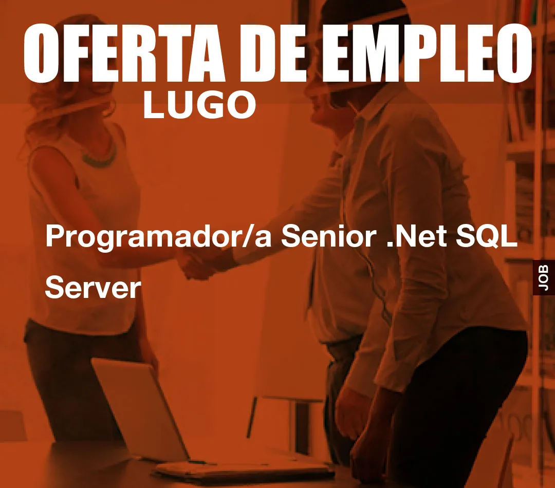 Programador/a Senior .Net SQL Server