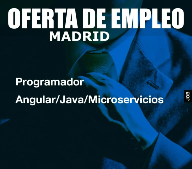 Programador Angular/Java/Microservicios