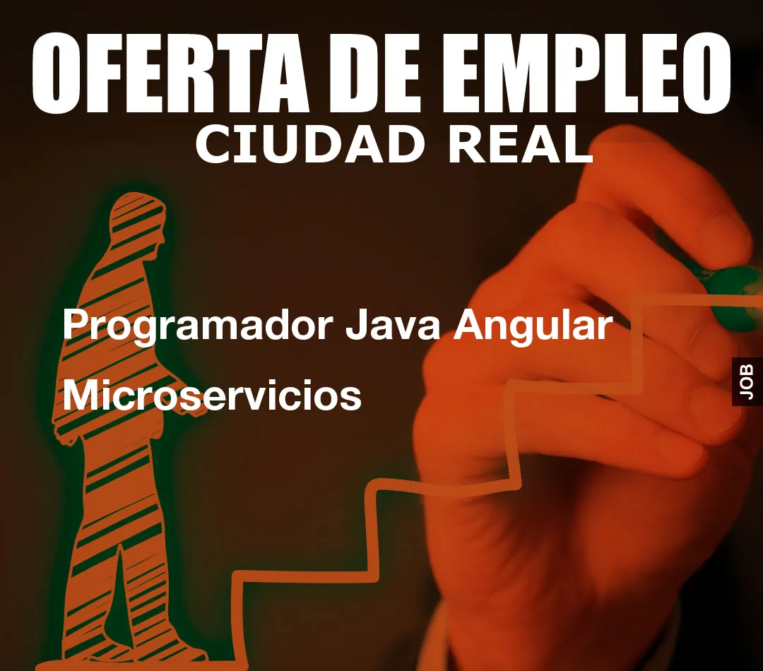 Programador Java Angular Microservicios