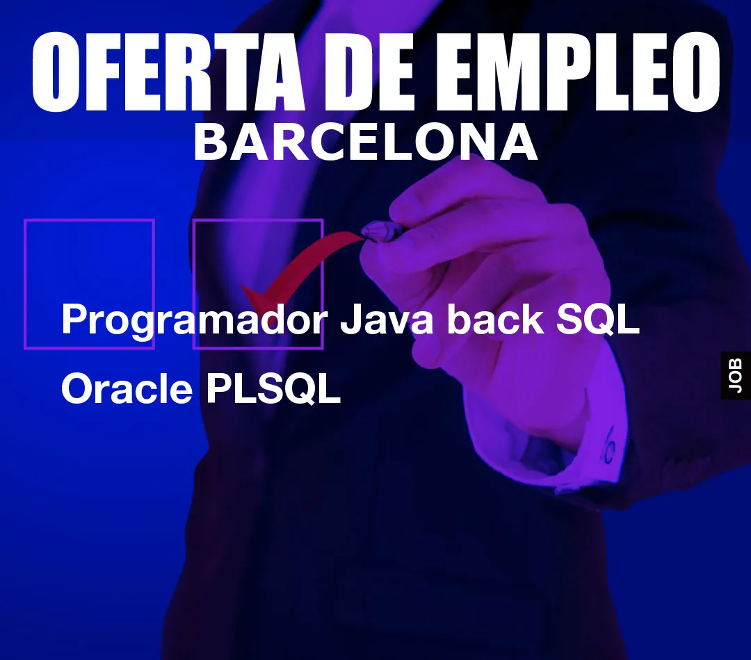 Programador Java back SQL Oracle PLSQL