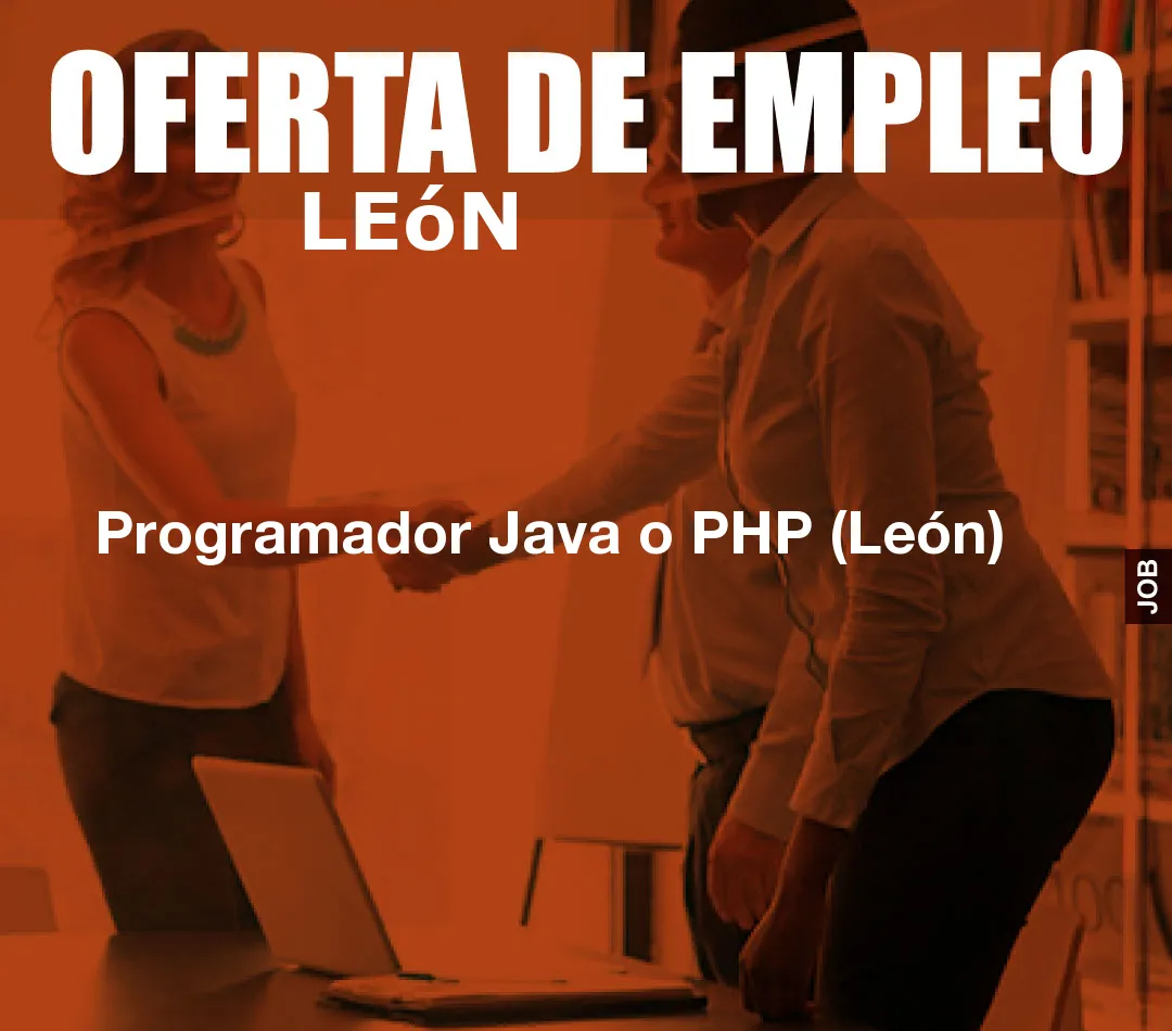 Programador Java o PHP (León)