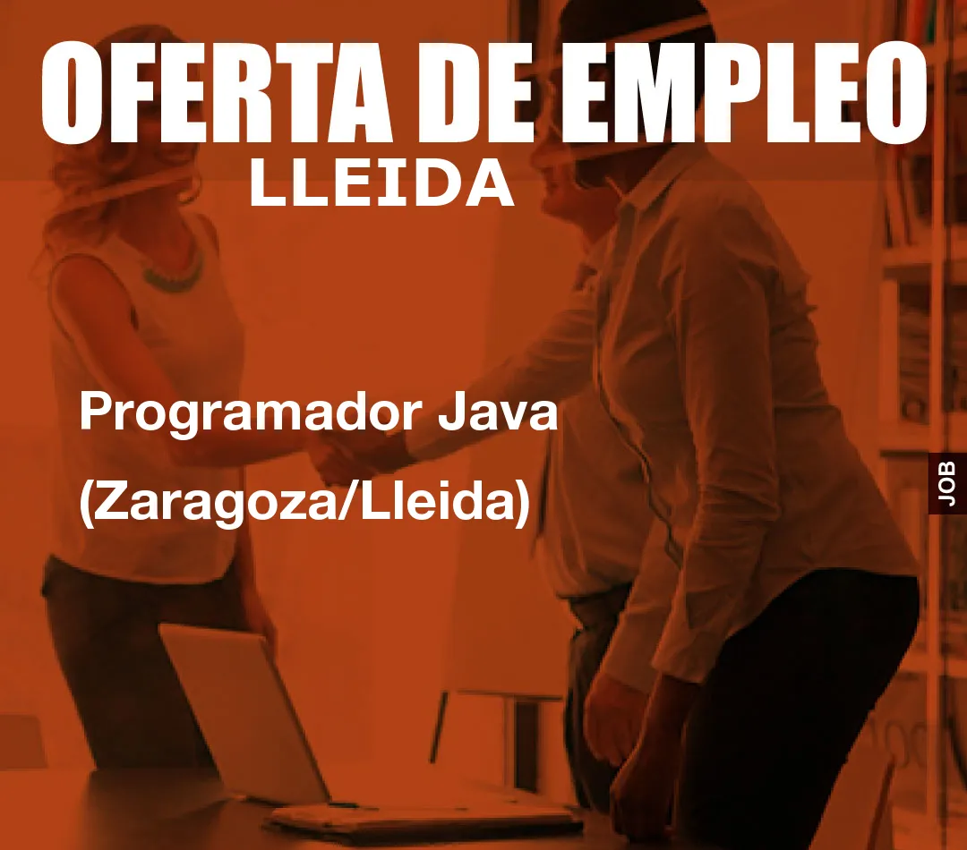 Programador Java (Zaragoza/Lleida)